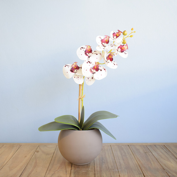 Arranjo De Orquídea De Silicone Tigre No Vaso Fendi | Formosi